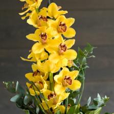 17. Egèsz szàl orchidea, màs színekben  is kapható